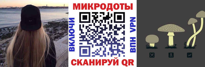 дарнет шоп  мега   Псилоцибиновые грибы Magic Shrooms  Сунжа 